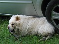20110606_Aqua_si_CS 084